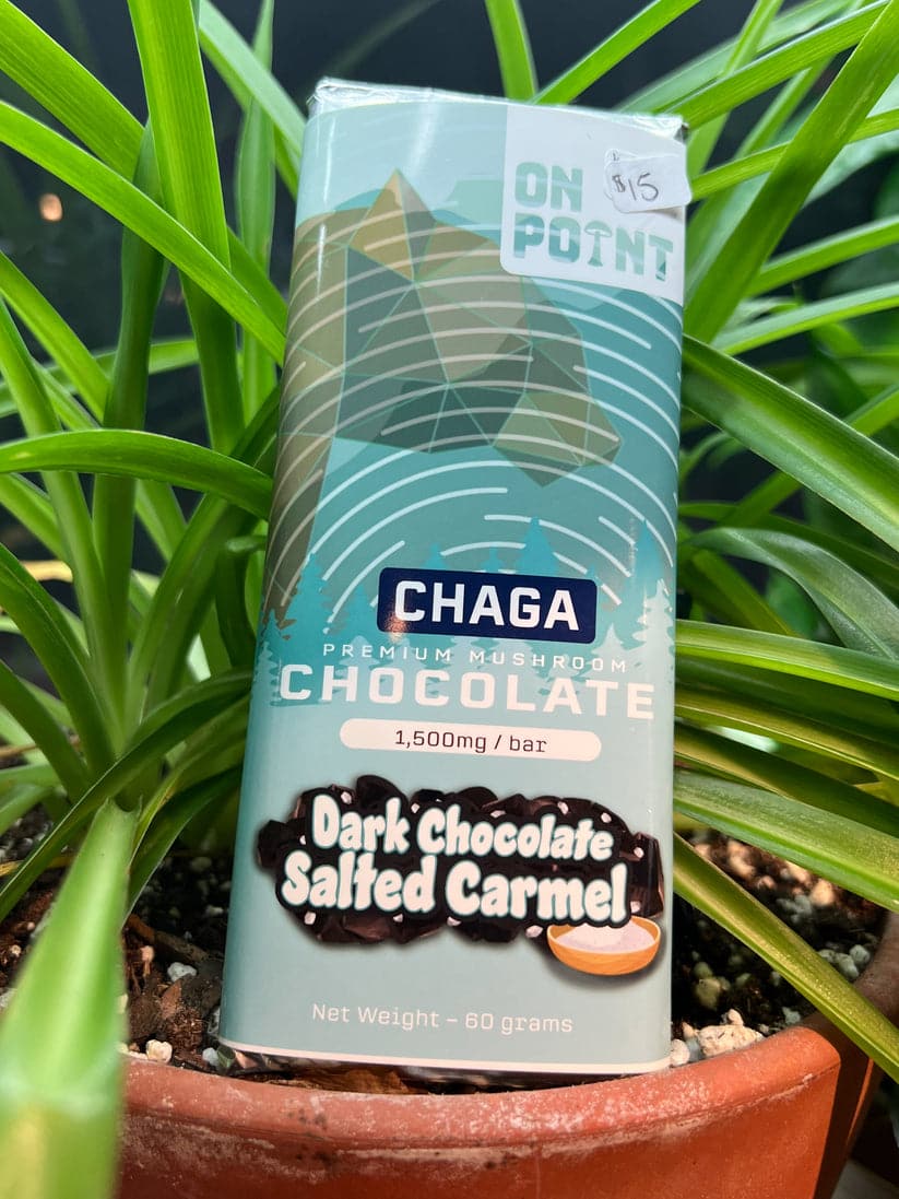 ON POINT Chaga Dark Chocolate Salted Caramel Overall Health Bar